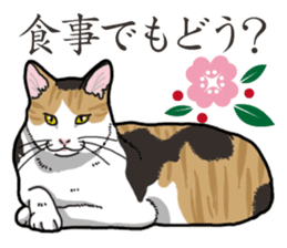 Daily Calico cat sticker #13399514