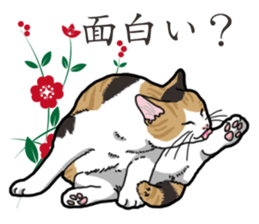 Daily Calico cat sticker #13399515