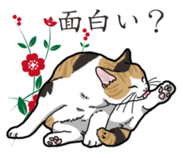 Daily Calico cat sticker #13399515