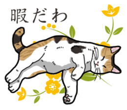 Daily Calico cat sticker #13399516