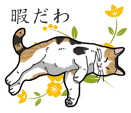 Daily Calico cat sticker #13399516