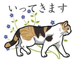 Daily Calico cat sticker #13399517