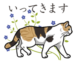 Daily Calico cat sticker #13399517