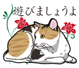 Daily Calico cat sticker #13399518
