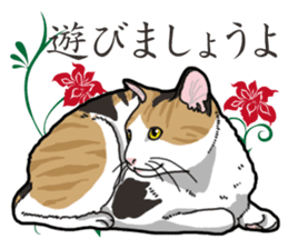 Daily Calico cat sticker #13399518