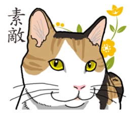 Daily Calico cat sticker #13399519
