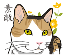 Daily Calico cat sticker #13399519