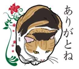 Daily Calico cat sticker #13399523