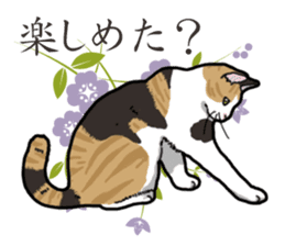 Daily Calico cat sticker #13399527