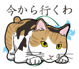 Daily Calico cat sticker #13399528