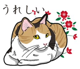 Daily Calico cat sticker #13399529