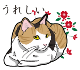 Daily Calico cat sticker #13399529