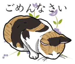 Daily Calico cat sticker #13399530