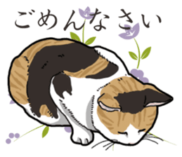 Daily Calico cat sticker #13399530