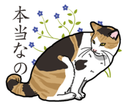 Daily Calico cat sticker #13399531