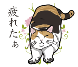 Daily Calico cat sticker #13399532