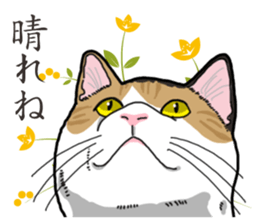 Daily Calico cat sticker #13399533