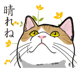 Daily Calico cat sticker #13399533