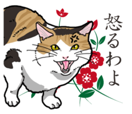 Daily Calico cat sticker #13399535