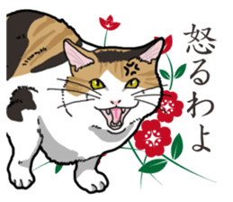 Daily Calico cat sticker #13399535