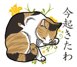 Daily Calico cat sticker #13399536