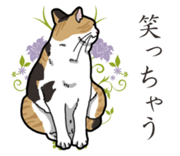 Daily Calico cat sticker #13399537