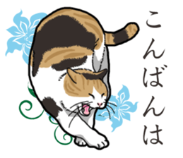 Daily Calico cat sticker #13399539