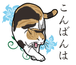 Daily Calico cat sticker #13399539