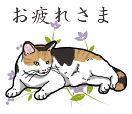 Daily Calico cat sticker #13399540
