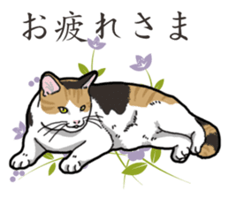 Daily Calico cat sticker #13399540