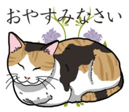 Daily Calico cat sticker #13399541