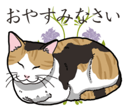 Daily Calico cat sticker #13399541