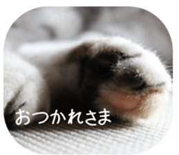 every day of a fu-2 sticker #13400934