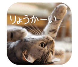 every day of a fu-2 sticker #13400935