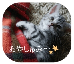 every day of a fu-2 sticker #13400936