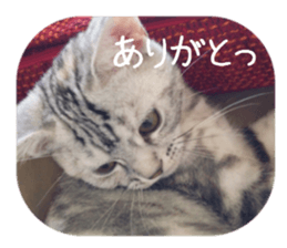 every day of a fu-2 sticker #13400937