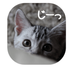 every day of a fu-2 sticker #13400938