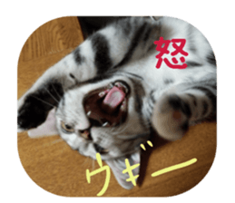 every day of a fu-2 sticker #13400939