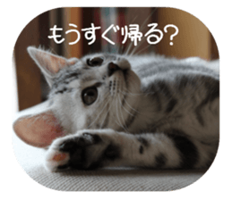 every day of a fu-2 sticker #13400940