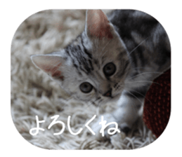 every day of a fu-2 sticker #13400941