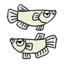 Small killifish sticker #13403373