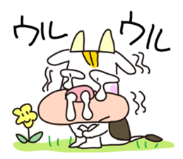 cattle 'Hiroshi' sticker #13403780