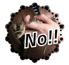 white snake and some reptiles sticker #13403899