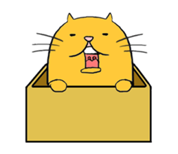 Curvy cat kimaru sticker #13405242