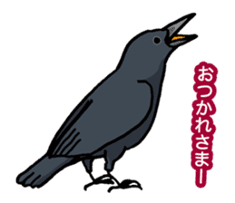 Wild Bird Life vol.1 sticker #13405901