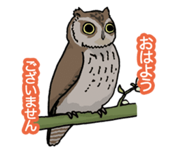 Wild Bird Life vol.1 sticker #13405902