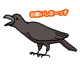 Wild Bird Life vol.1 sticker #13405905
