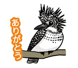 Wild Bird Life vol.1 sticker #13405907