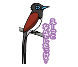 Wild Bird Life vol.1 sticker #13405910