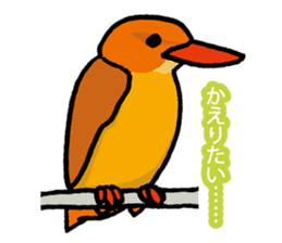Wild Bird Life vol.1 sticker #13405918